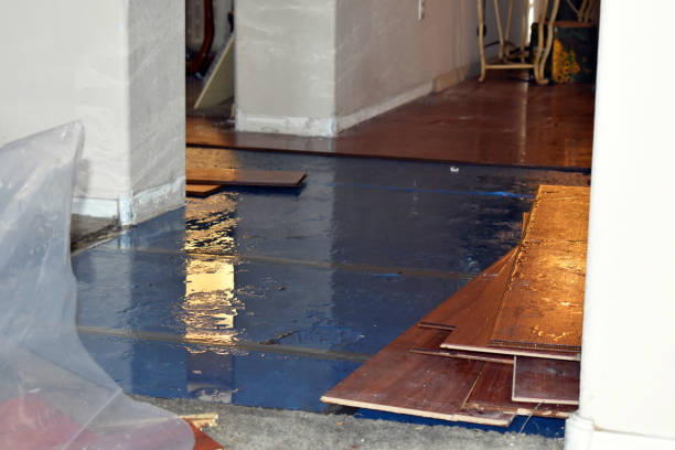 Professional Water Damage technician working in Olga, WA