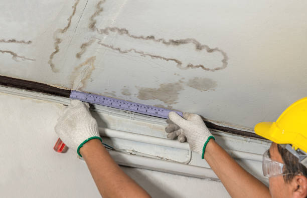 Reliable Water Damage contractor in Olga, WA by Water Damage Irwin